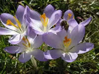 022_1024x768.webp