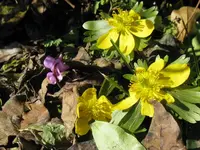 021_1024x768.webp