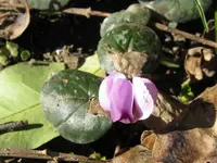 020_1024x768.webp