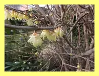 008.webp