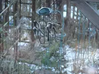 155.webp