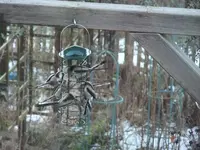 156.webp