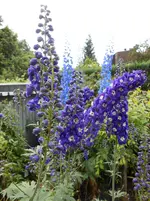 DSCN0308.webp