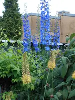 DSCN0310.webp
