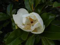 DSCN1407.webp