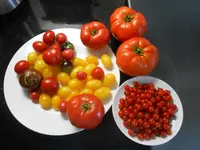 DSCN1876.webp