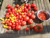 DSCN1967.webp