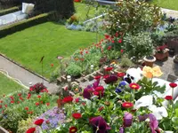 DSCN0143.webp