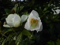 DSCN1870.webp