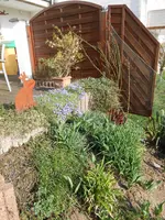 DSCN0118.webp