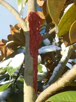 DSCN2097.webp