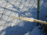 DSCN2102.webp