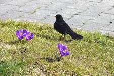 DSCF0344.webp