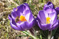 DSCF0348.webp