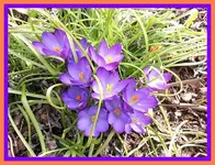 005.webp