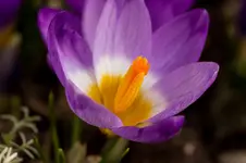 4834.webp