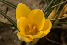 4844.webp
