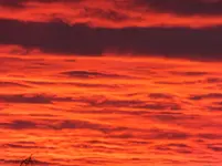 010.webp