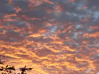 016.webp