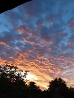 021.webp