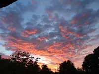 041.webp