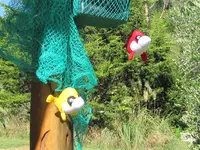 Fische v.webp