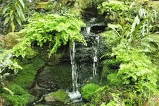 DSCF0227 (2).webp