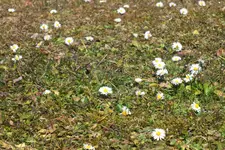 DSCF0353.webp
