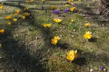 DSCF0338.webp
