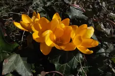 DSCF0328.webp