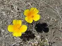IMG_5992v.webp