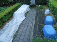 DSCN0169.webp