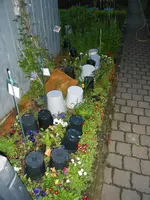 DSCN0176.webp