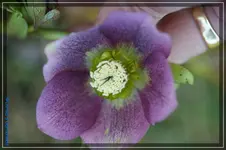 comp_DSC02806.webp