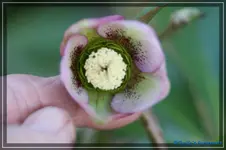 comp_DSC02809.webp