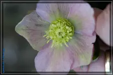 comp_DSC02811.webp