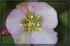 comp_DSC02812.webp