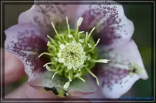 comp_DSC02818.webp