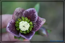 comp_DSC02821.webp