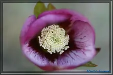 comp_DSC02828.webp