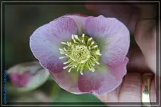 comp_DSC02832.webp