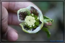 comp_DSC02833.webp