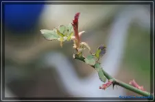 comp_DSC02848.webp