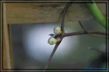 comp_DSC02850.webp