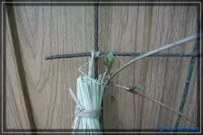 comp_DSC02853.webp