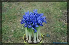 comp_DSC02847.webp