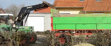 green (14).webp