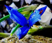 DSCN7230.webp