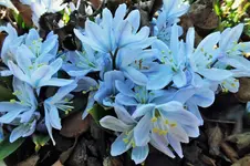 DSCF0323 (2).webp