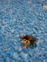 Pullover 03-2015 015.webp